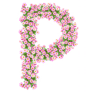 The Pink Reef logo