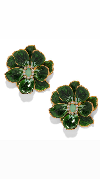 The Pink Reef Large Jewel Box in Spruce Green