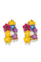 Load image into Gallery viewer, The Pink Reef Fiesta Earrings