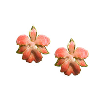 Load image into Gallery viewer, The Pink Reef Vanilla Orchid in Coral