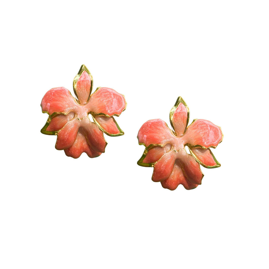 The Pink Reef Vanilla Orchid in Coral