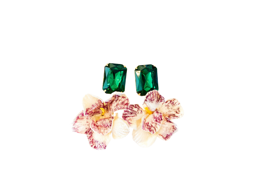 The Pink Reef velvet orchid with emerald top